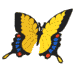 papillon